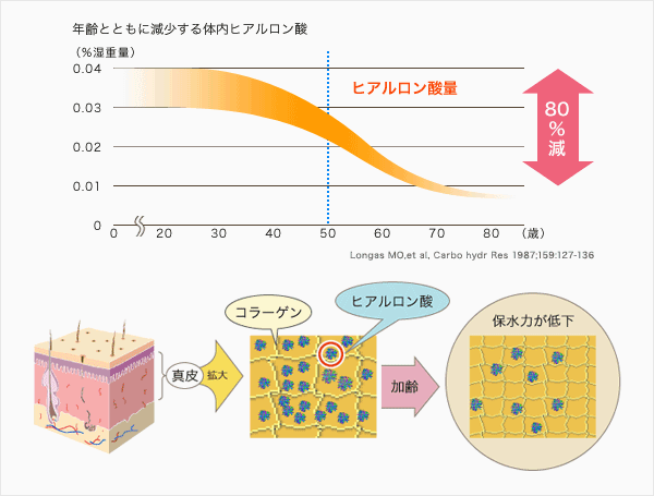 コラーゲン+ナノヒアルロン酸+オルニチン